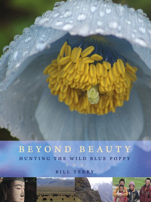 Cover image for Beyond Beauty